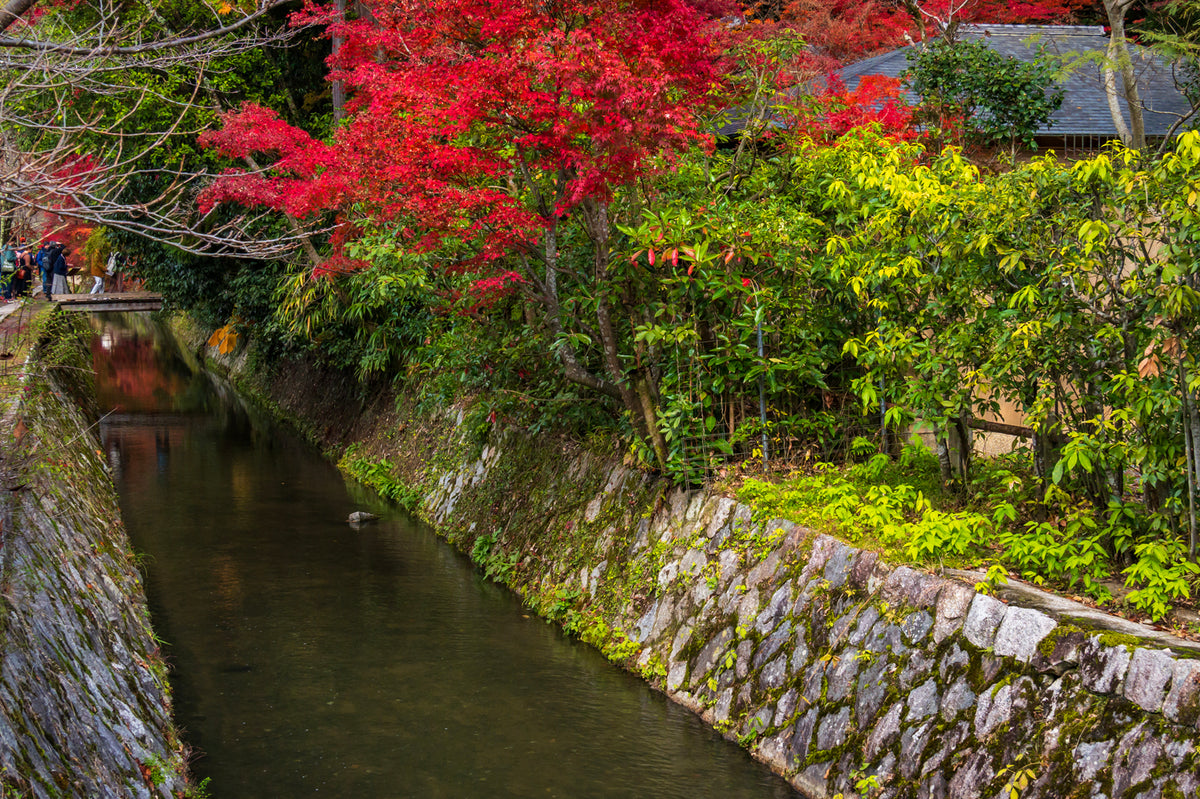 The Philosopher's Path, Kyoto