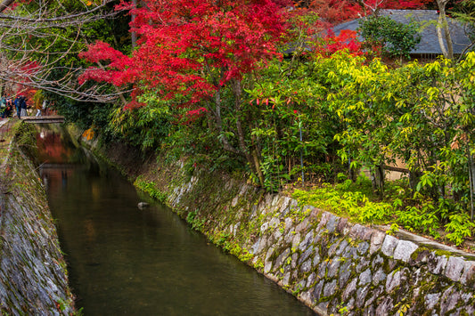 The Philosopher's Path, Kyoto