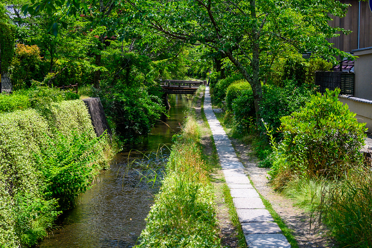 The Philosopher's Path, Kyoto
