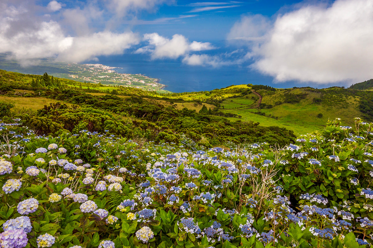 Overlook (Miradour), Pico Island, Azores