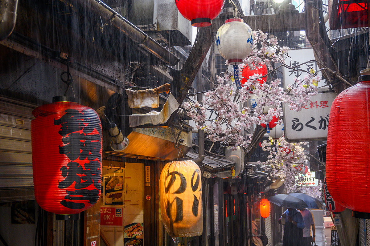 Omoide Yokocho in the Rain with Japanese Lanterns, Tokyo