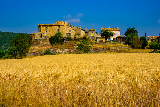 Lavender Fields and Hilltop Village in Provence, France