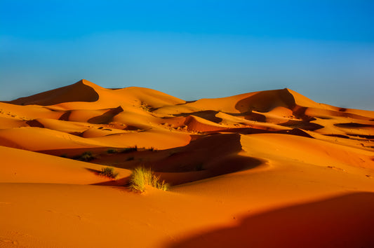 Moroccan Sahara Desert