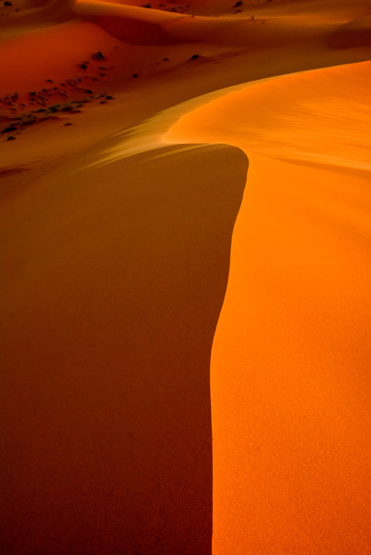Moroccan Sahara Desert- Dunes