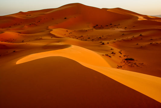 Sand Dunes, Sahara, Morocco