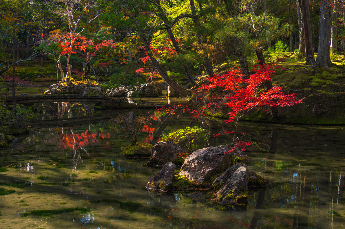 Saiho-ji, The Moss Zen Temple, Autumn, Kyoto