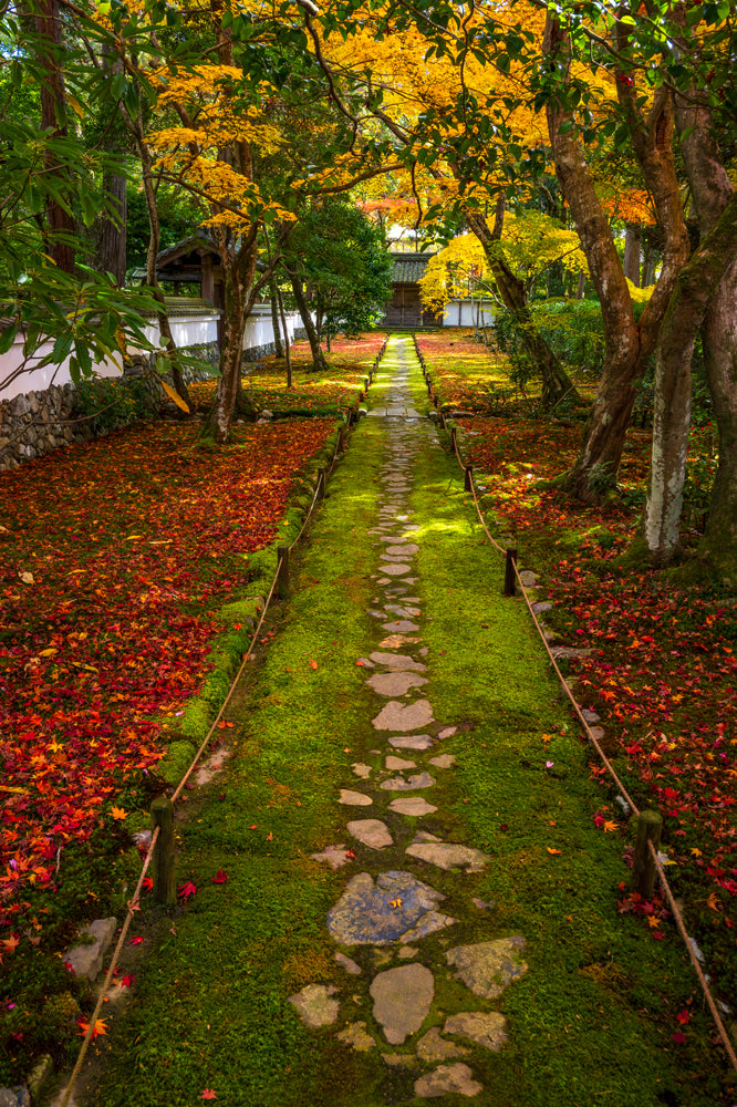 Saiho-ji, The Moss Zen Temple, Autumn, Kyoto