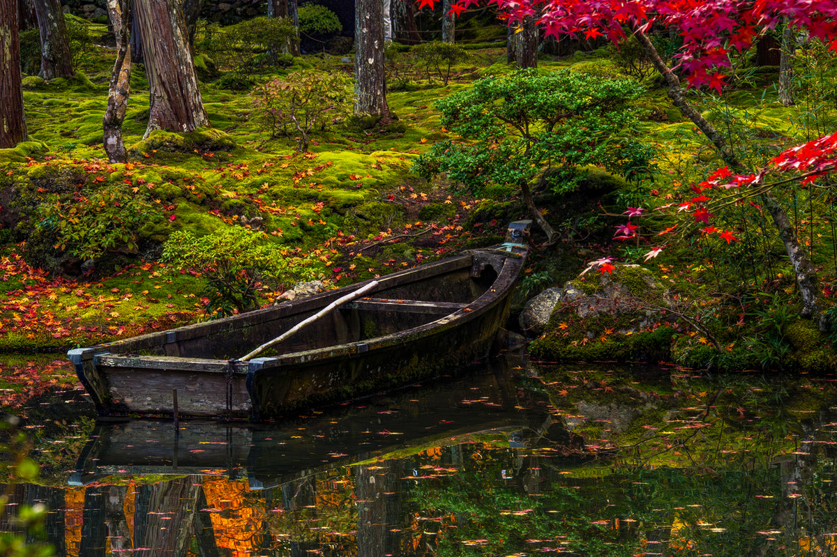 Saiho-ji, The Moss Zen Temple, Autumn, Kyoto