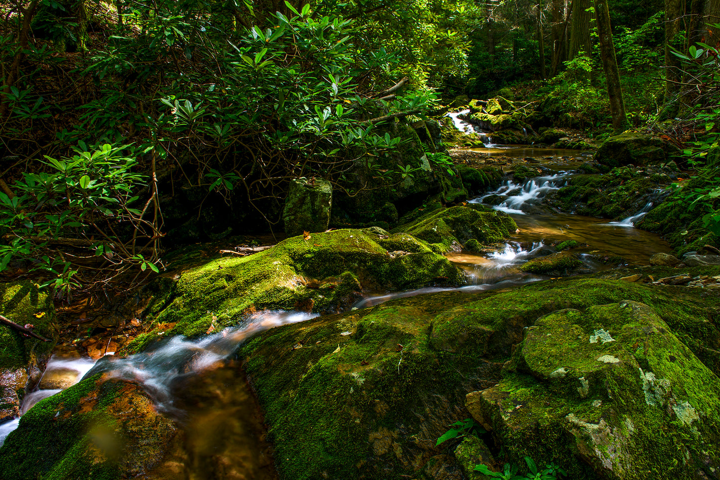 Sill Branch Cascades, Tennessee