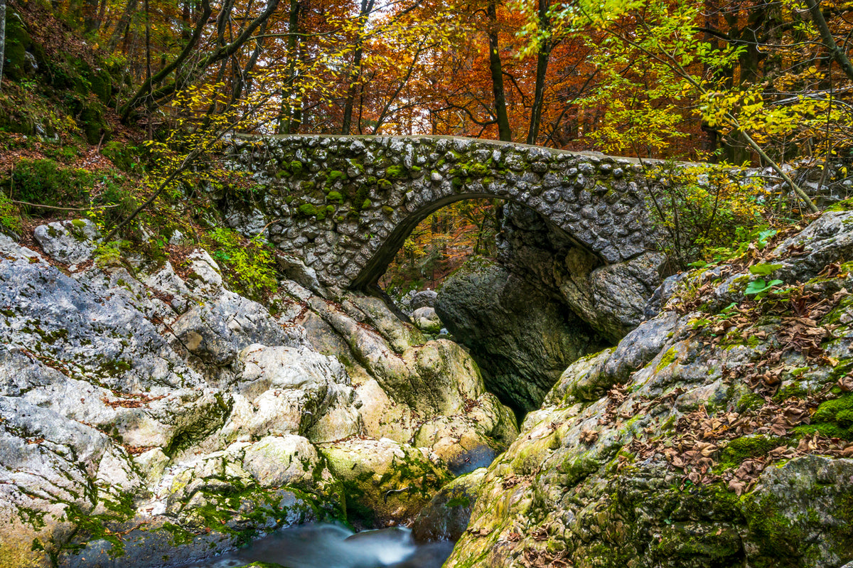 Slap (Waterfall) Savica Bridge, Slovenia