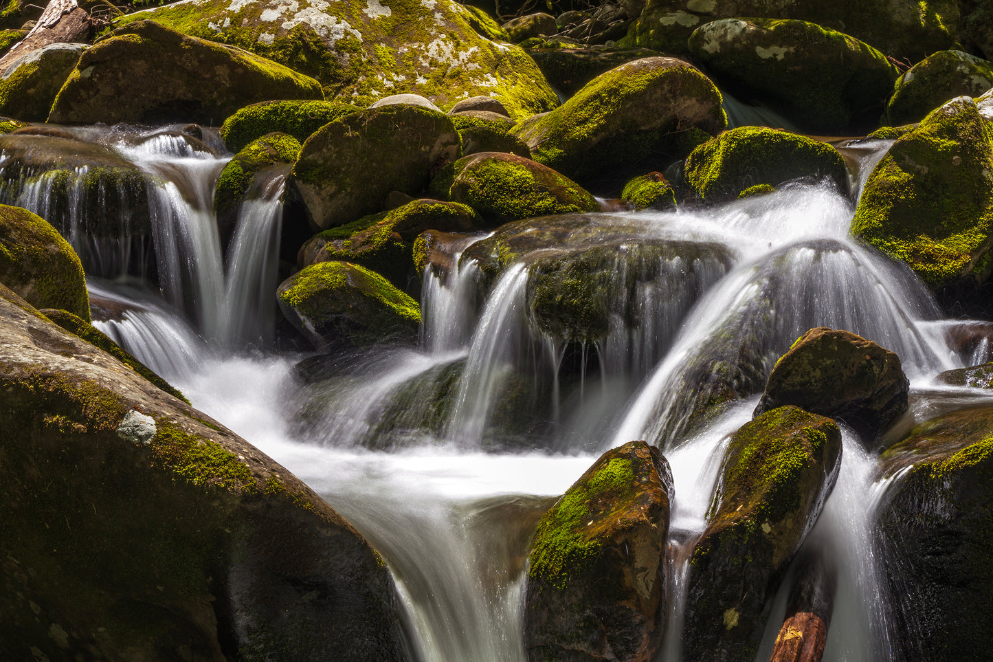 Smokies Cascade, Tennessee