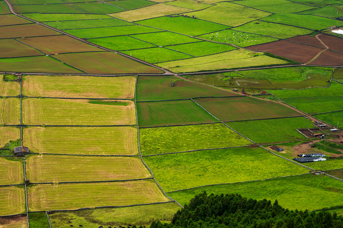 Farm and Coastal Pastures on Terceira Island, Azores