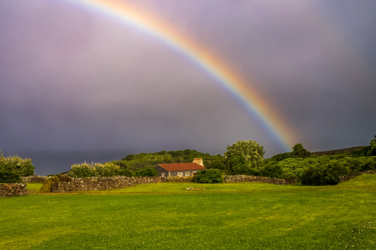 Farm and Coastal Pastures on Terceira Island, Azores