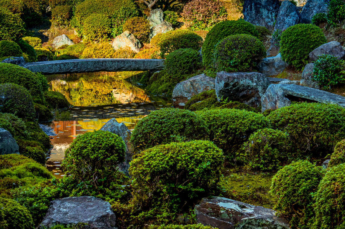 Tofuku-ji Temple, Autumn, Kyoto
