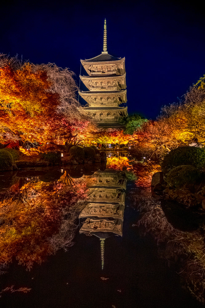 Toji-in Temple, Illuminated,  Autumn, Kyoto (Copy)