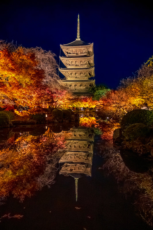 Toji-in Temple, Illuminated,  Autumn, Kyoto (Copy)