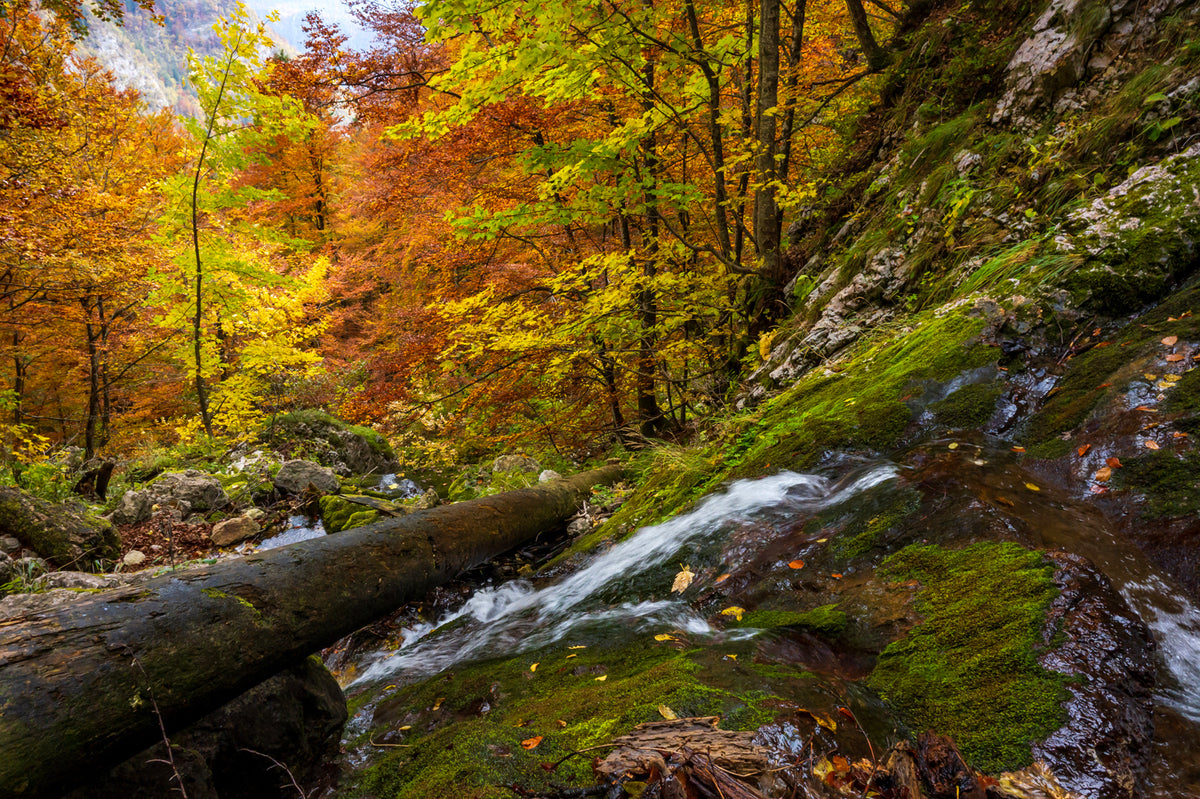 Slap (Waterfall) Triglev, Slovenia