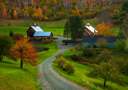 Vermont Farm