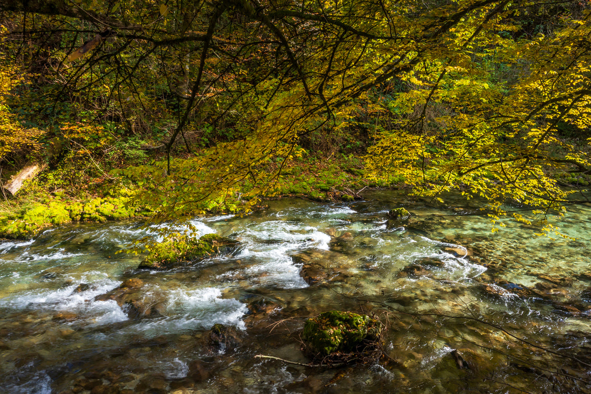 Vintgar Gorge, Slovenia