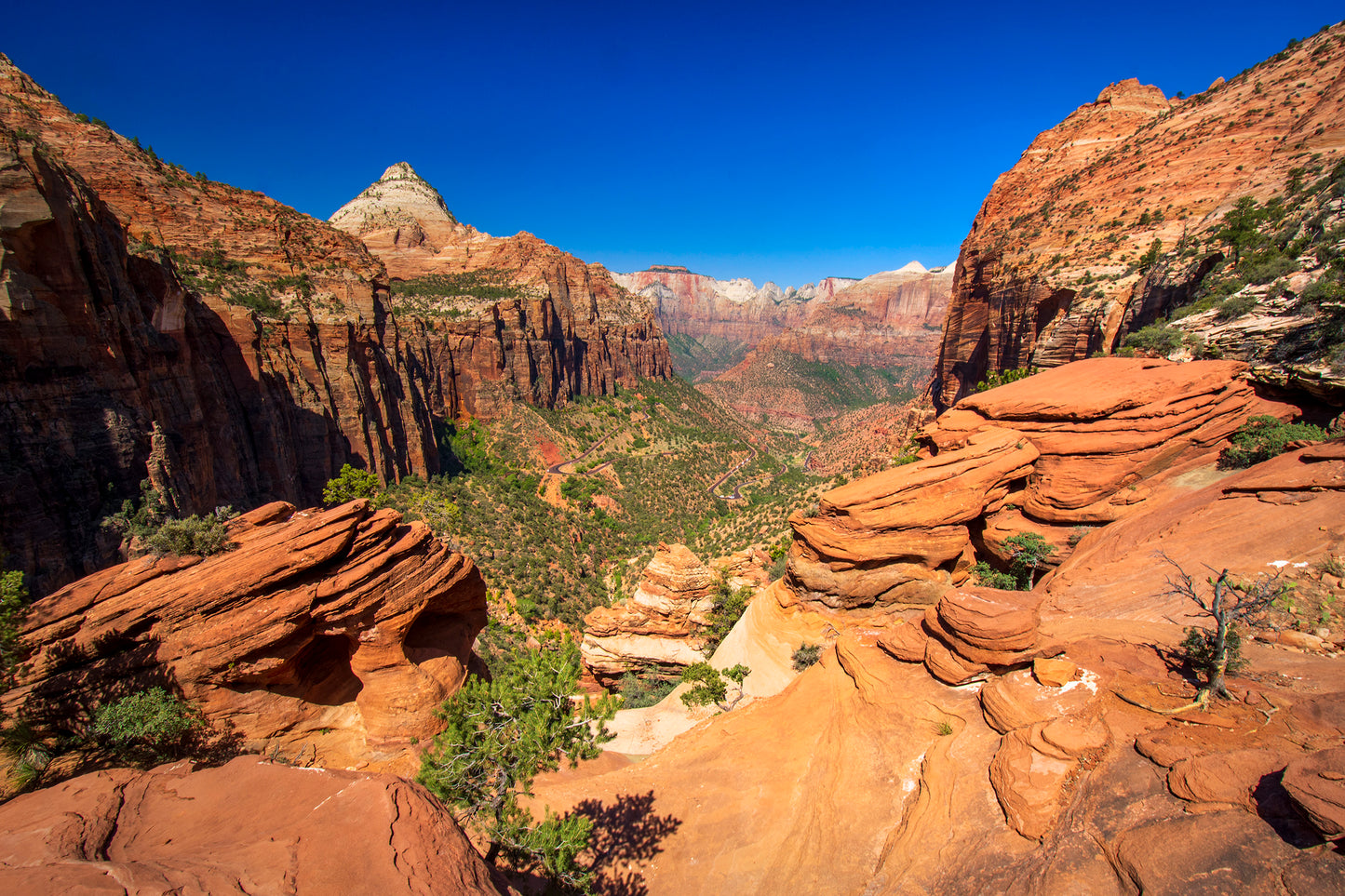 Zion Canyon Overlook, Zion National Park